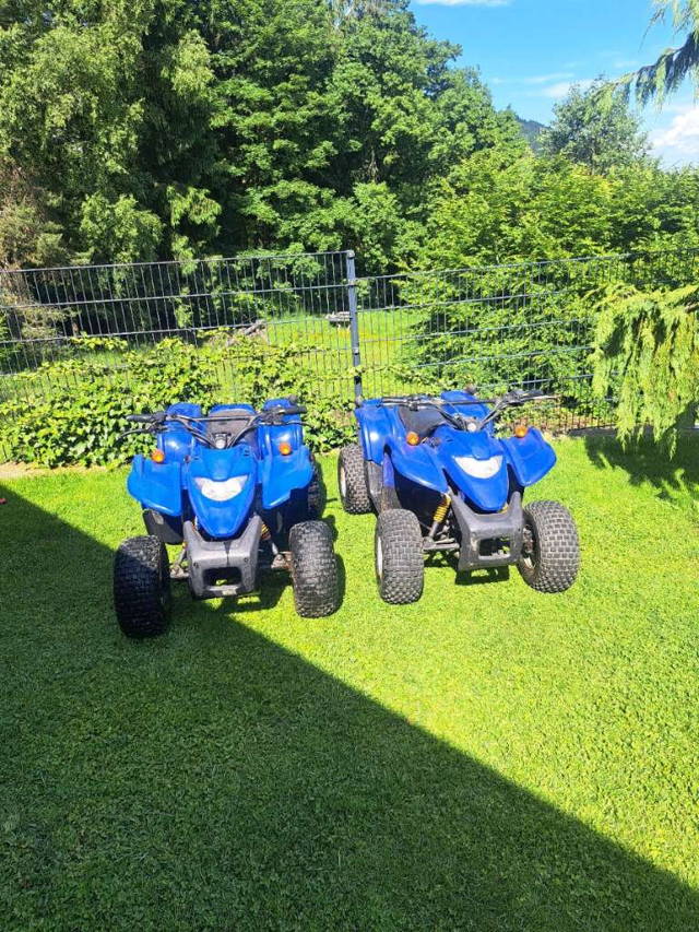 Adly ATV -50 Quad