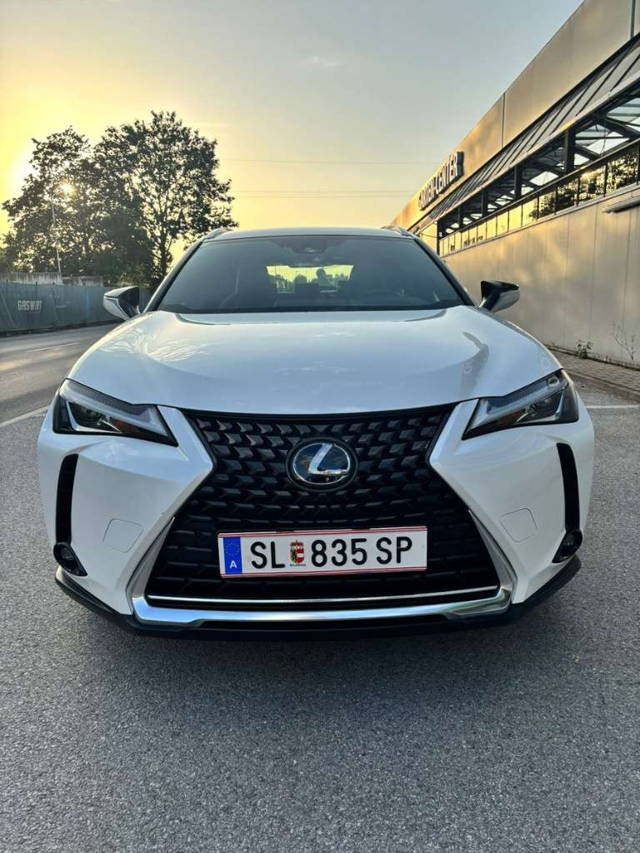 Lexus UX 250h Business SUV / Geländewagen