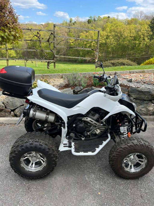 Quad LYDA203 generalüberholt Quad