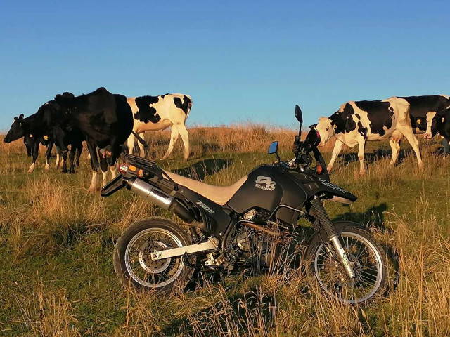 Suzuki DR BIG 750 Enduro