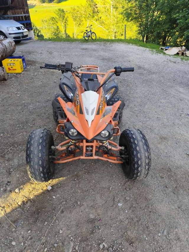 Nitro Motors Kinder Quad 125ccm 12PS motor NICHT original Quad