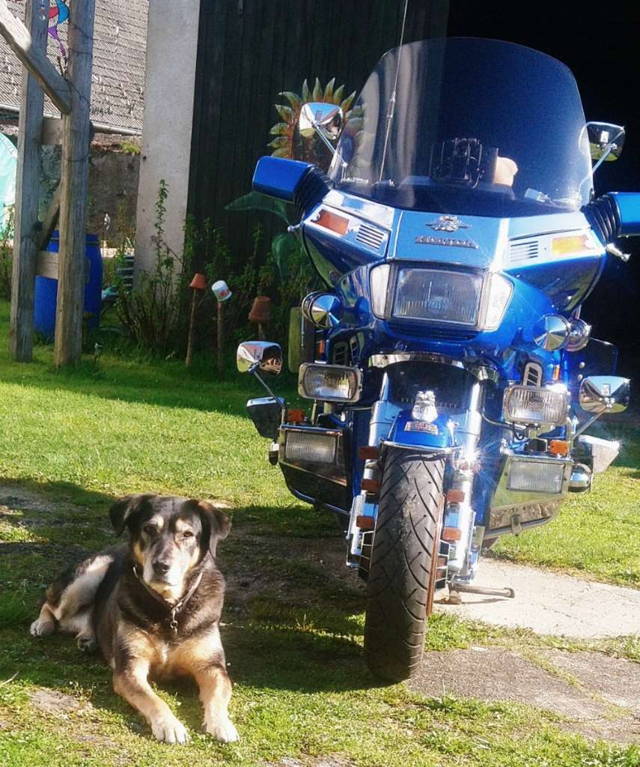 Honda GL 1200 California Tourer