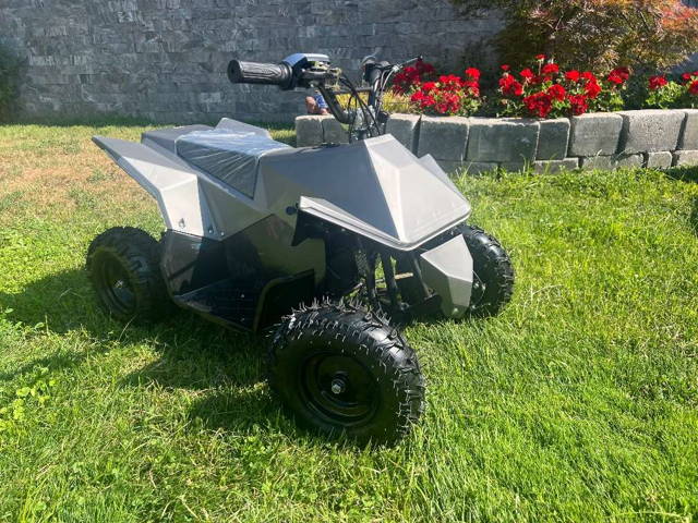 Nitro Motors Kinder Quad 1000W. Aktion neu Modell Quad