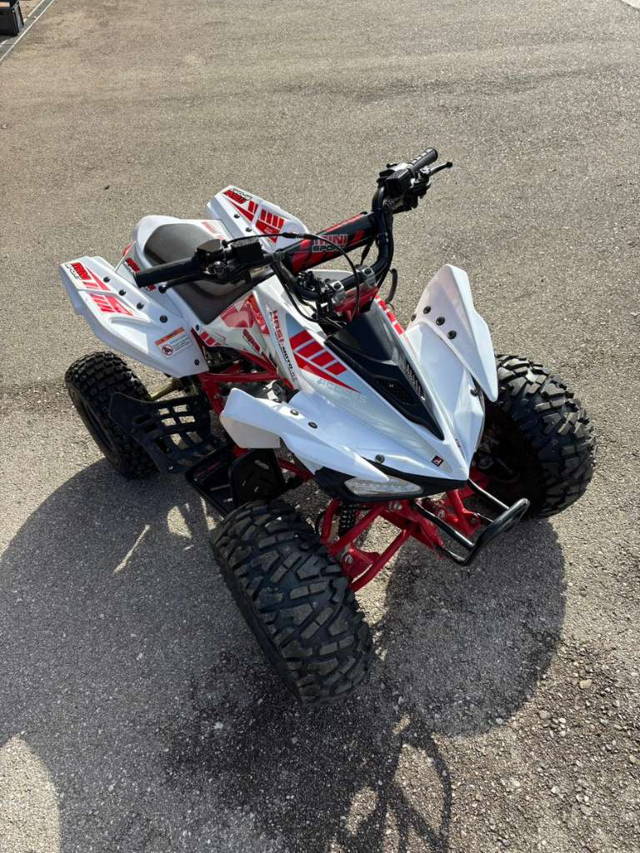 Access MiniSport 110 ccm Quad