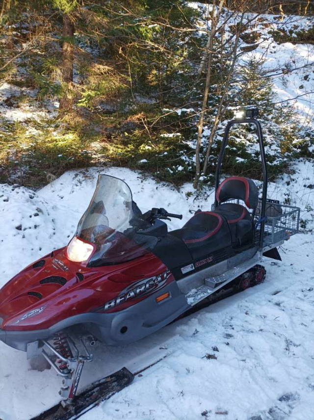 Arctic Cat Wildcat Schneemobil