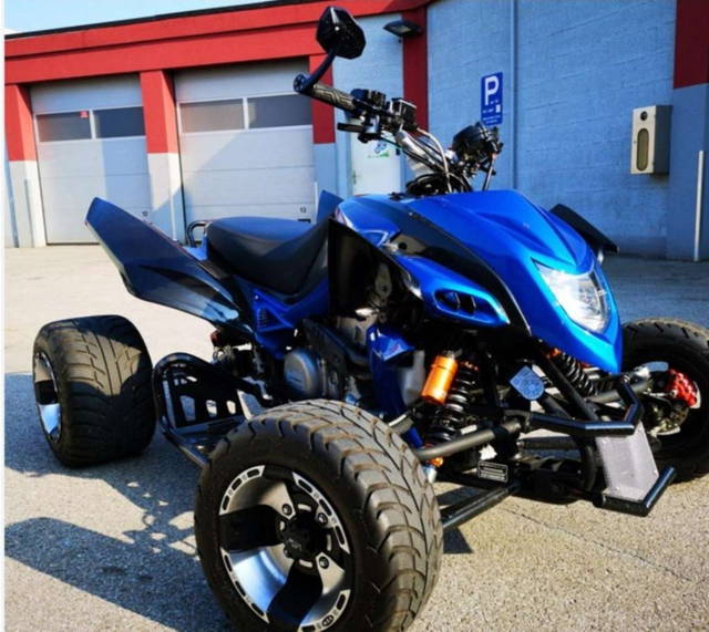 Beeline Bestia supermoto 5.5 Quad