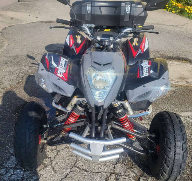 Beeline Bestia 5.5 Quad