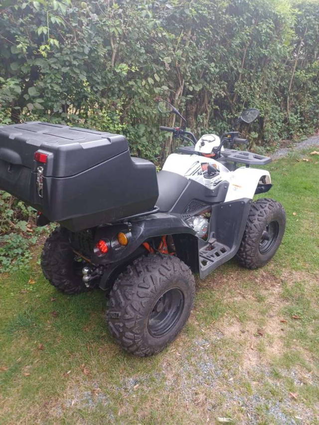 Kayo AU200 Quad