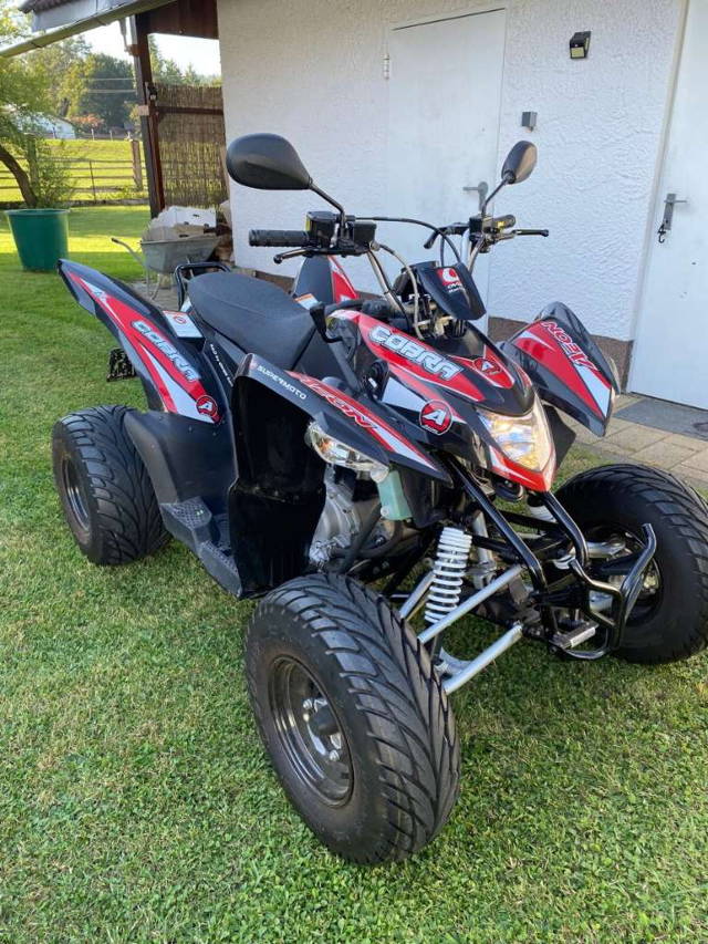 Aeon Cobra 400 Quad