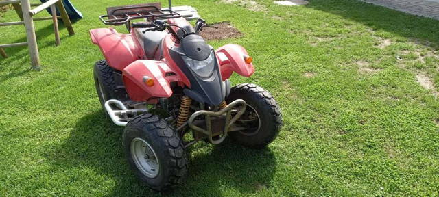 Explorer RAM 250 Quad