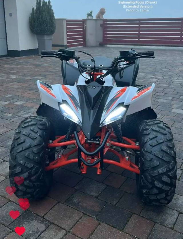 Kayo Predator 110 Quad
