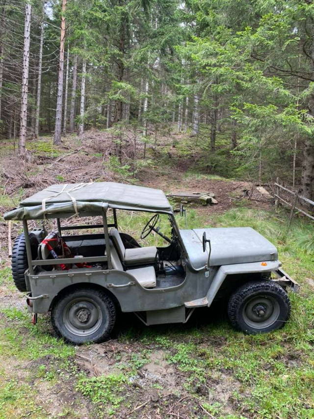 JEEP WILLY JEEP DIESEL SUV / Geländewagen