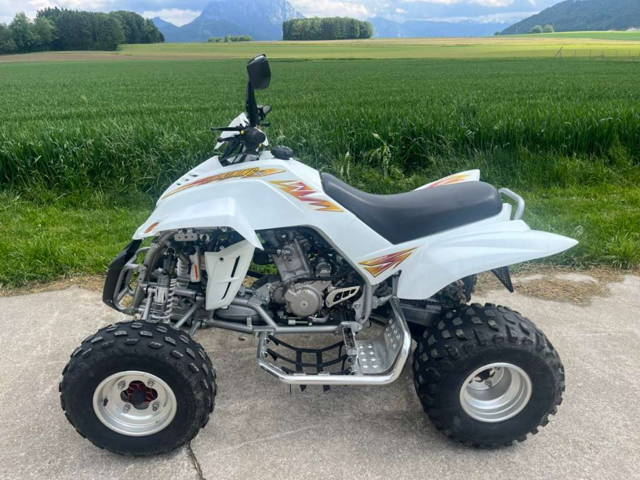Dinli 450 Special Quad