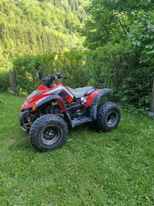 (reserviert) Aeon Cobra Ersatzteilspender Quad