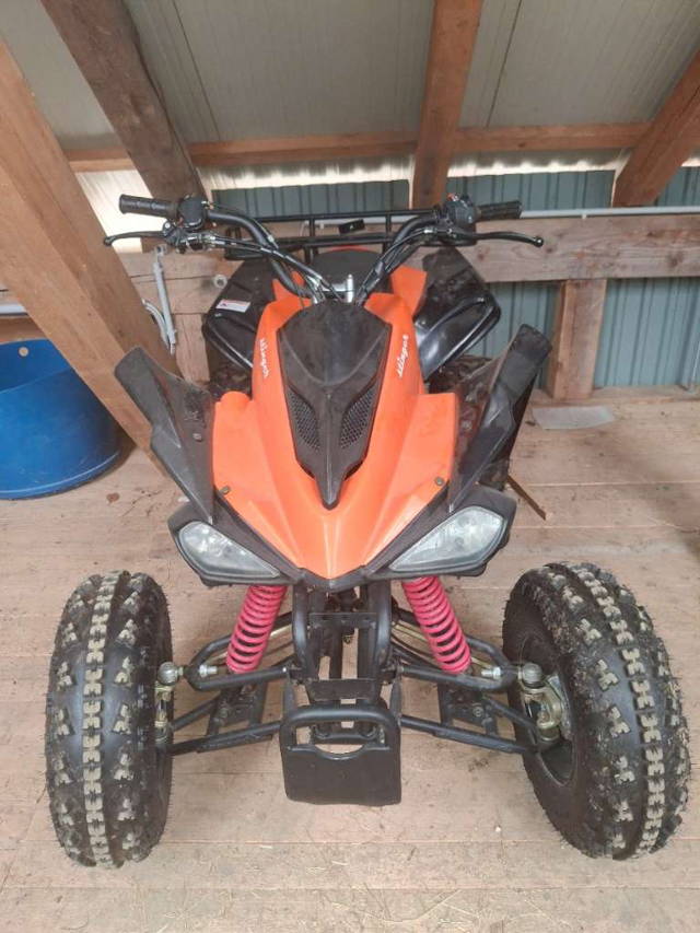 (reserviert) Stinger Quad
