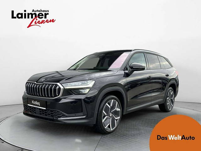 Skoda Kodiaq 4x4 Selection TDI DSG SUV / Geländewagen