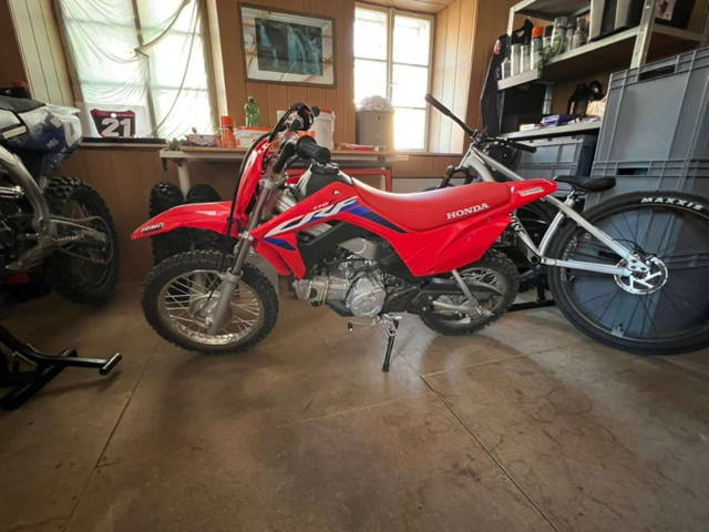 Honda CRF 110 Motocross