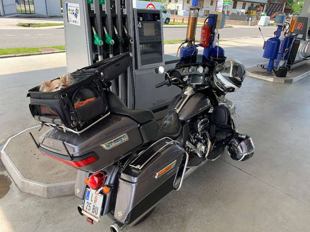 Harley-Davidson Electra Glide Ultra Limited FLHTK - mit Rückwärtsgang Tourer