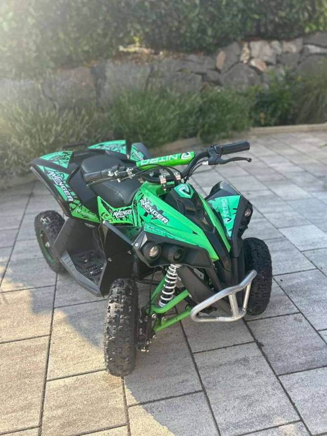 Nitro Motors Avenger Eco Mini Quad Quad