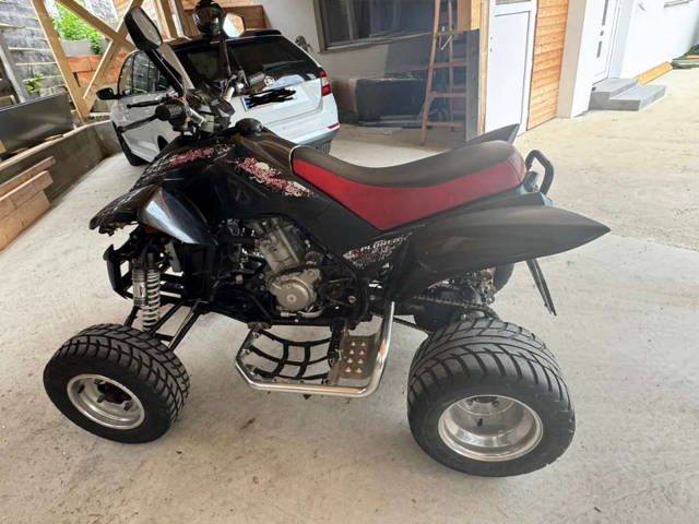 Dinli 450 Quad