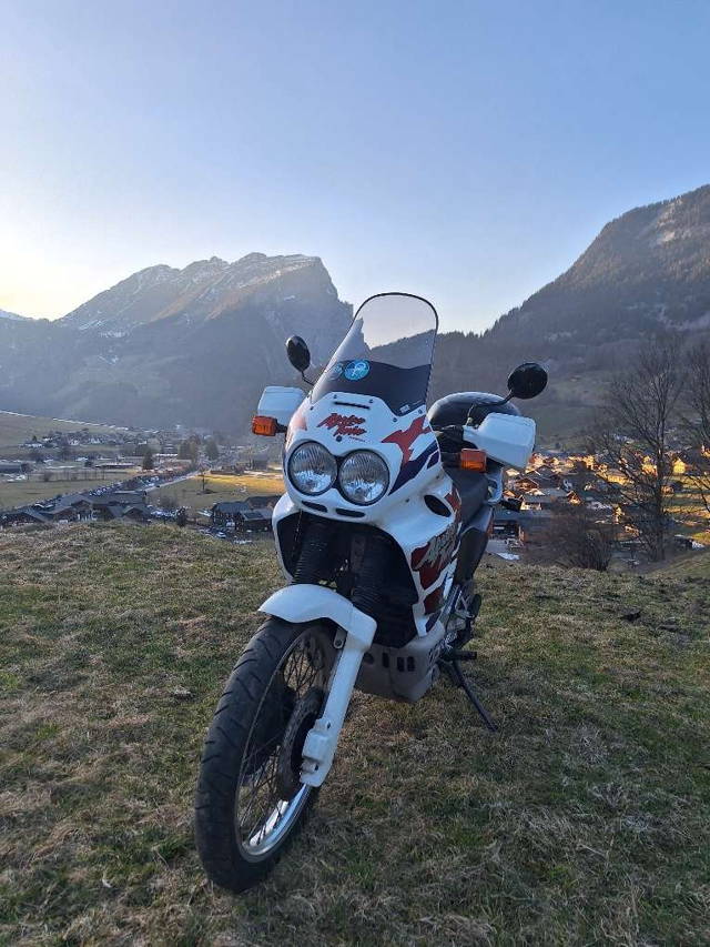 Honda Africa Twin XRV 750 RD07A Enduro