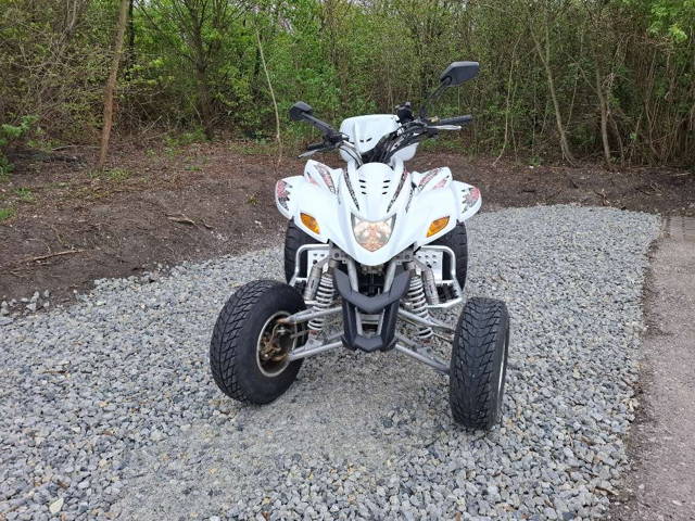 Dinli 450 DL 901 Quad