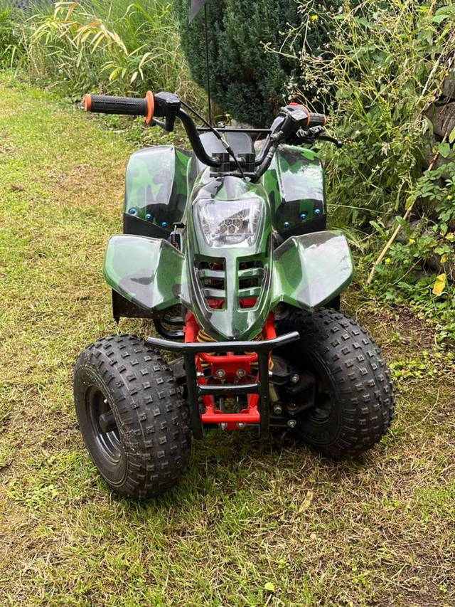 Quad