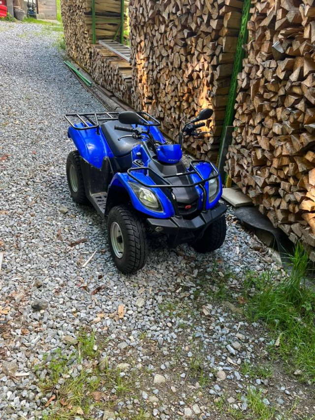 Kymco MXU 50 Quad