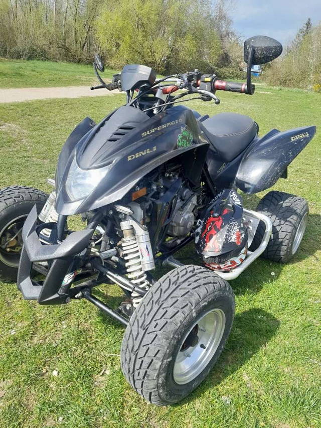 Dinli 450 Quad