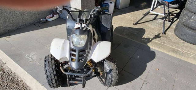 Kinderquad Quad
