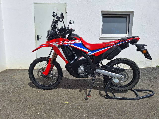 Honda CRF 300 Rally Enduro