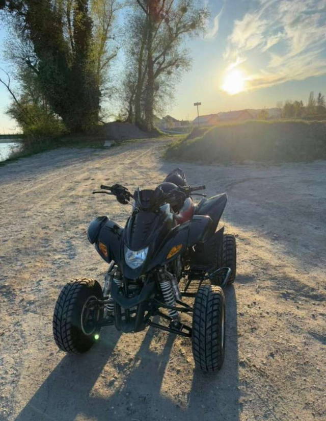Dinli 450 Quad