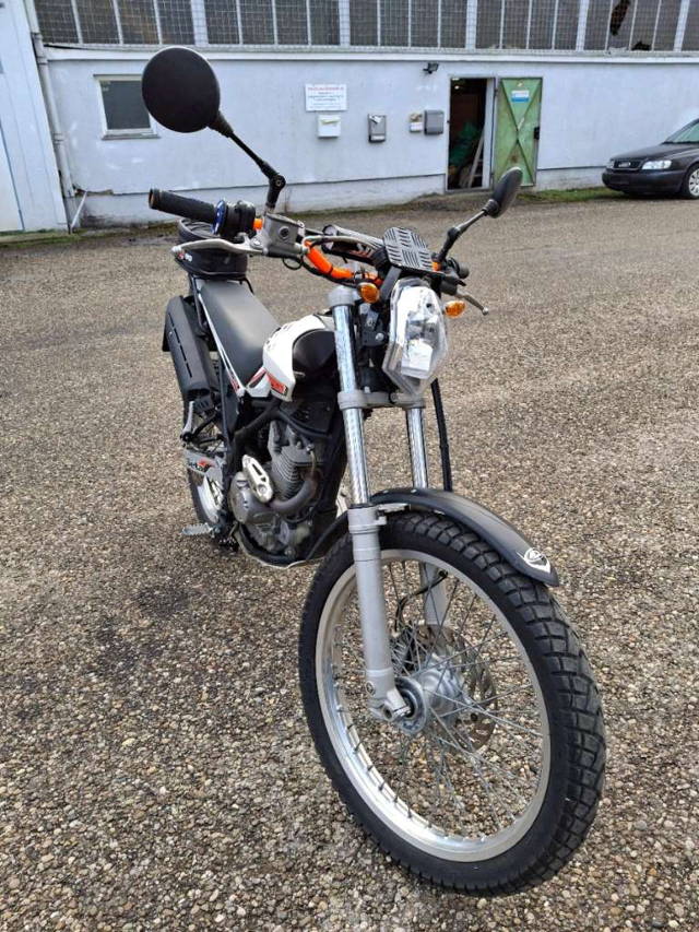 Beta Alp 200 Trial