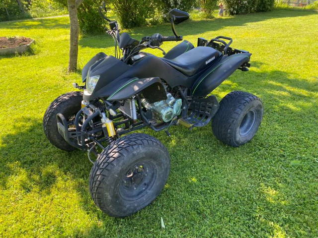 Bashan 250ccm Quad
