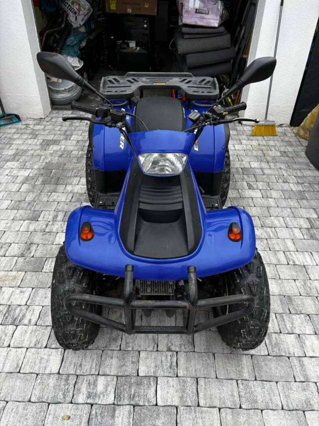 E-TON Yukon EXL-150/Utility Quad