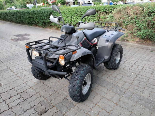 Linhai ATW Quad