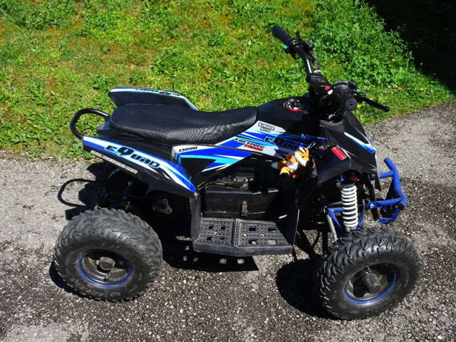 Kinder ELEKTRO QUAD 1300 W, Quad