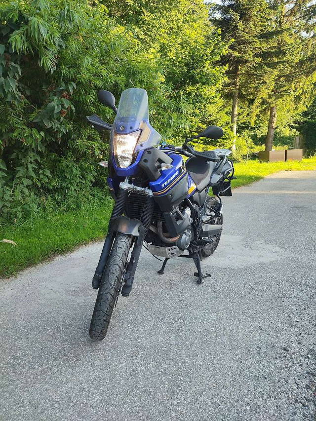 Yamaha XT 660Z Enduro