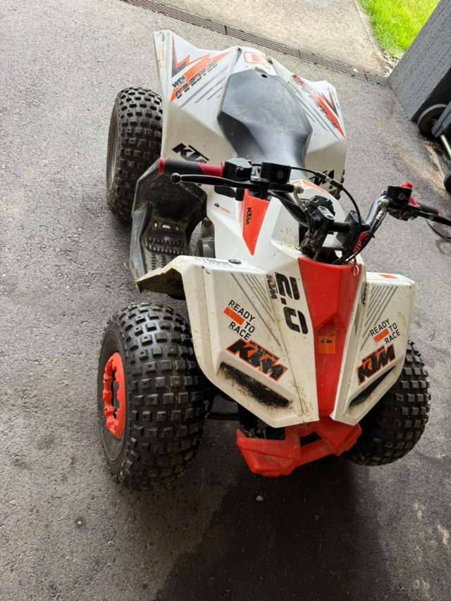 Access 110ccm Quad