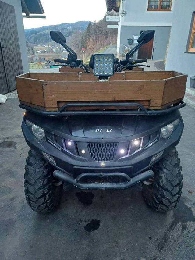 Dinli Centor Dinli Centor 600 4x4 Quad