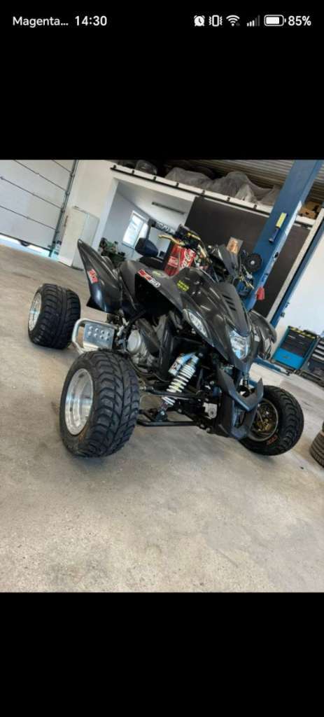 Dinli 450 Dinli 450 Special S Quad Quad