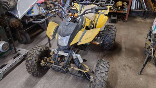 Bashan Quad