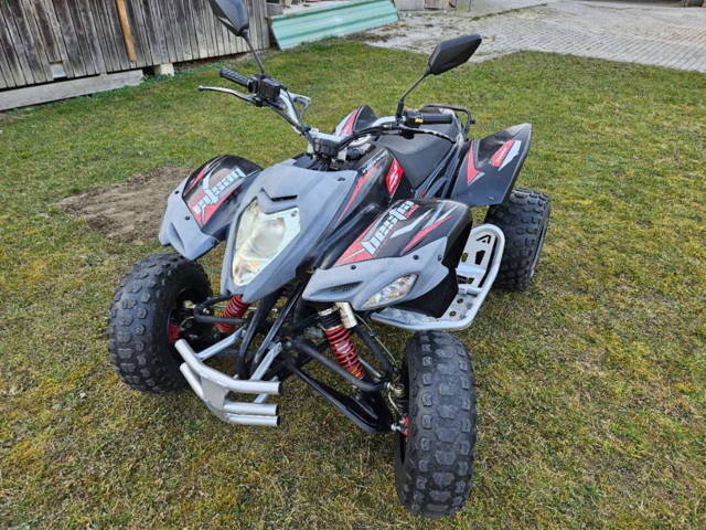 Beeline Bestia 5.5 Quad