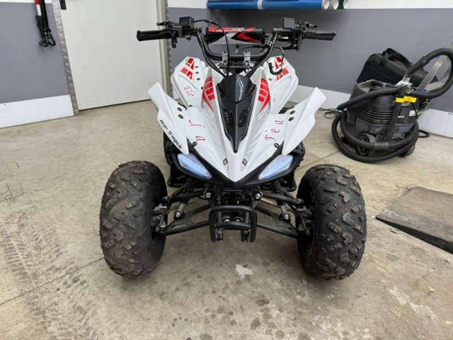 Access MiniSport Quad Kinder 175ccm Quad