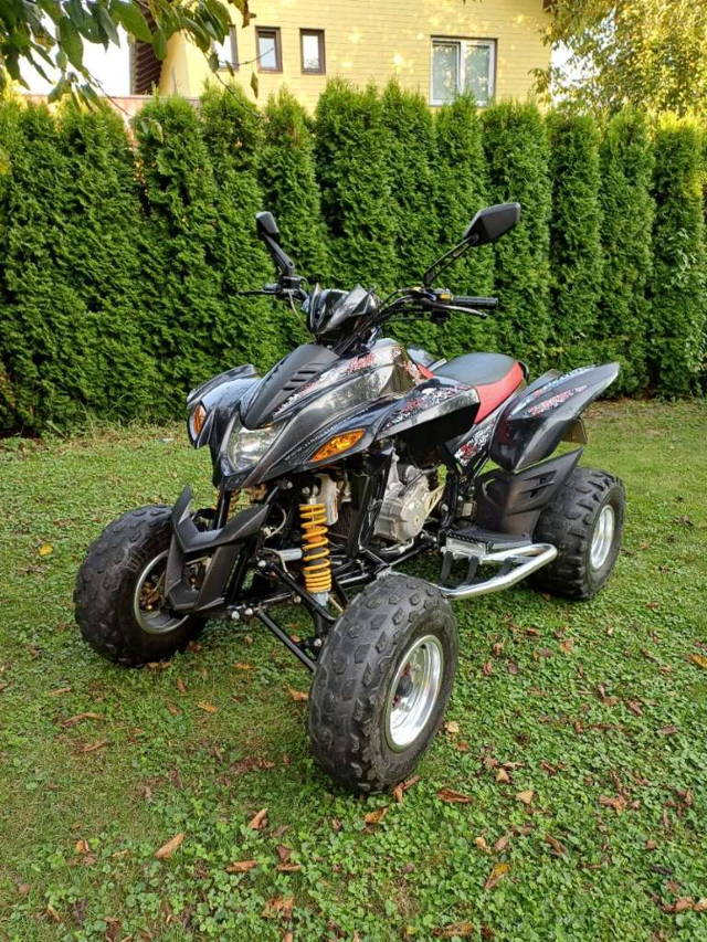 Dinli 450 Quad