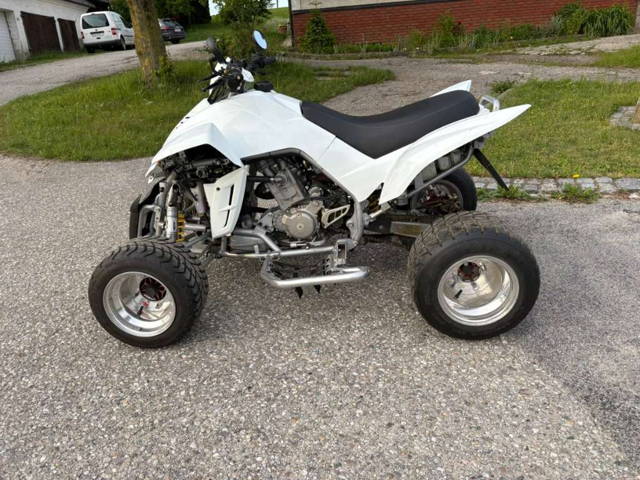 Dinli 450 Quad