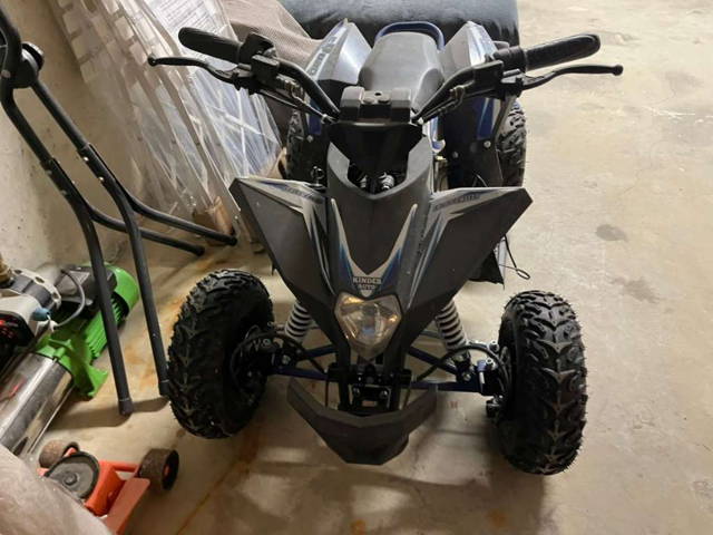 Kinderquad 1300 Watt Quad