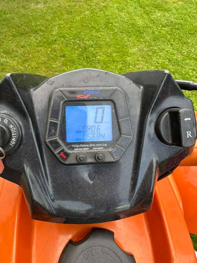 Dinli 450 Trasher 450 Quad