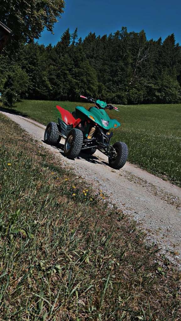 Dinli 450 Quad