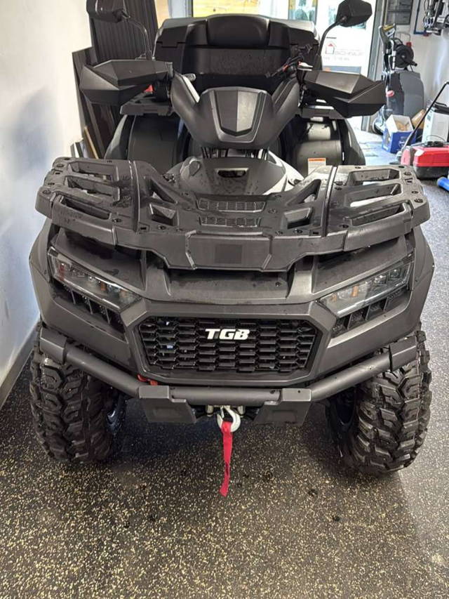 TGB Blade 600 FL EPS mit Servolenkung und Scneeschild Quad